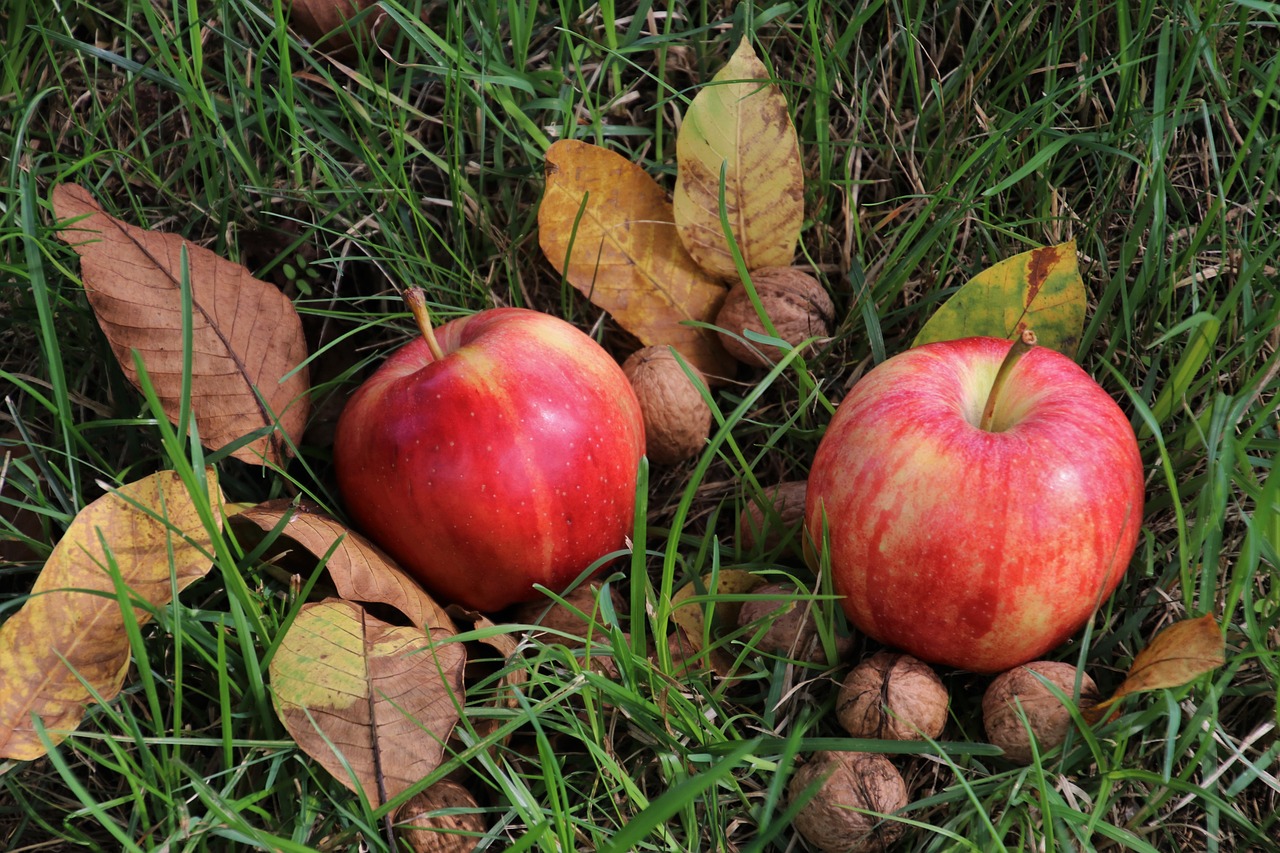 Ekologiczne jabłka