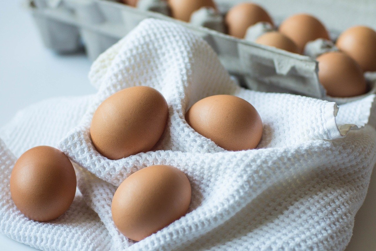 Jajka ekologiczne wolne od antybiotyków