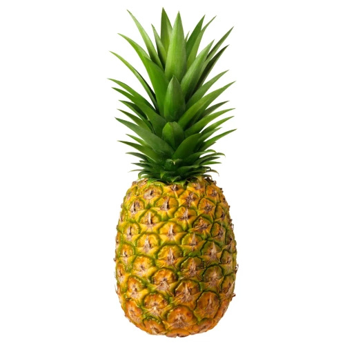 Ananas ekologiczny (1,2 kg) (EKO)