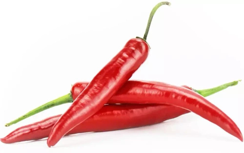 Ekologiczna papryka ostra papryczka chilli (ok. 100 g) (EKO)