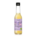 Kombucha lawendowa 270 ml - Delikatna (BIO)