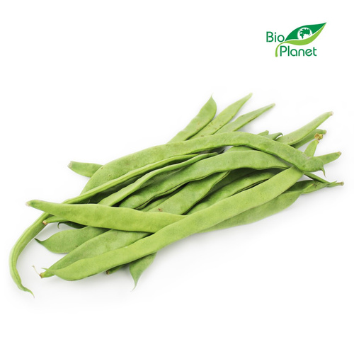 Ekologiczna fasolka płaska (karton ok. 4 kg) (EKO)