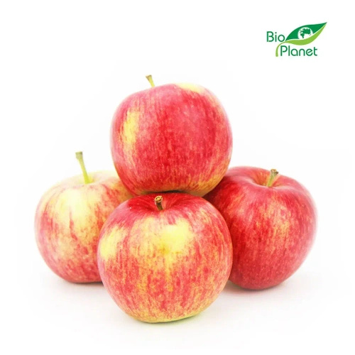 Ekologiczne jabłka szara reneta polskie (1 kg) (EKO)