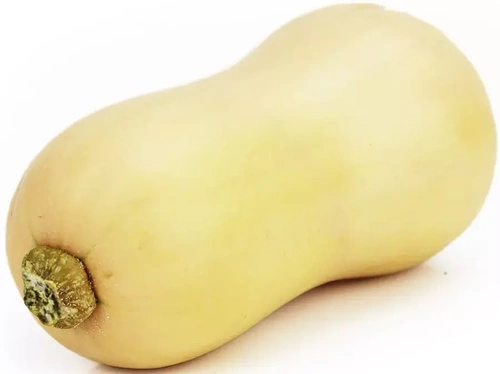 DYNIA PIŻMOWA BUTTERNUT ekologiczna (0,50 kg) - BIO