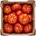 Ekologiczne pomidory rebellion (karton ok. 3 kg) (EKO)