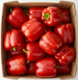 Ekologiczna papryka czerwona (karton ok. 5 kg) (EKO)