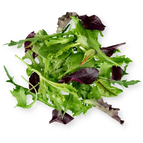 Mix sałat ekologiczny (0,1 kg) (EKO)