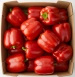 Ekologiczna papryka czerwona (karton ok. 5 kg) (EKO)