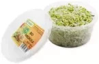 Ekologiczne kiełki brokuła (50 g) (EKO)