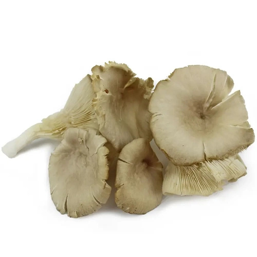 Ekologiczne boczniaki grzyby świeże (ok. 0,2 kg) (EKO)