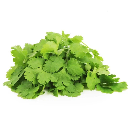 Ekologiczna kolendra świeża (pęczek 50 g) (EKO)