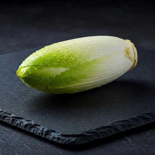 Ekologiczna cykoria świeża (ok. 0,5 kg) (EKO)