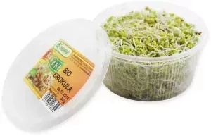 Ekologiczne kiełki brokuła (50 g) (EKO)