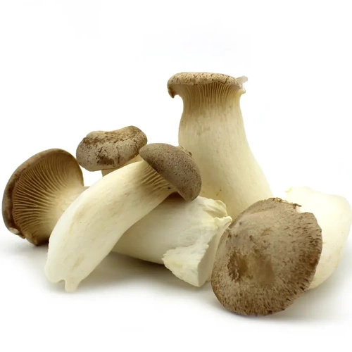 Ekologiczne borowiki stepowe grzyby eryngii (tacka 200 g) (EKO)