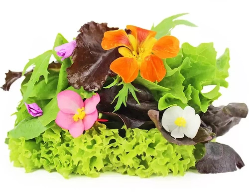 Mix Sałat ekologiczny polski (0,1 kg) (EKO)