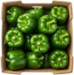 Ekologiczna papryka zielona (karton ok. 5 kg) (EKO)
