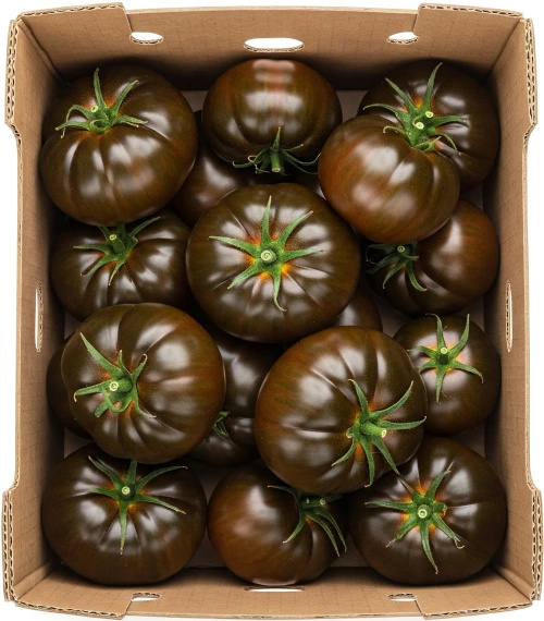 Pomidory czarne rebellion ekologiczne (karton ok. 3 kg) (EKO)