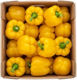 Ekologiczna papryka żółta (karton ok. 5 kg) (EKO)