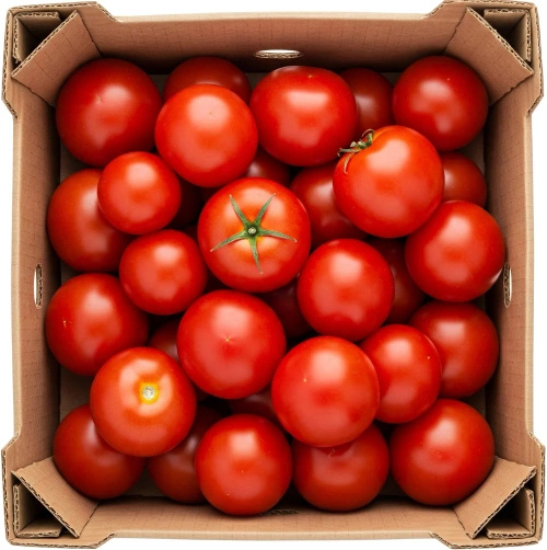 Ekologiczne pomidory okrągłe (karton ok. 6 kg) (EKO)