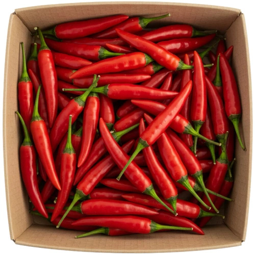 Ekologiczna papryka ostra (karton ok. 1 kg) (EKO)