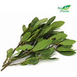 Ekologiczny liść laurowy (ok. 0,05 kg) (EKO)