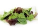 Mix sałat ekologiczny (0,1 kg) (EKO)