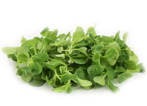 Ekologiczna roszponka niemyta (0,1 kg) (EKO)