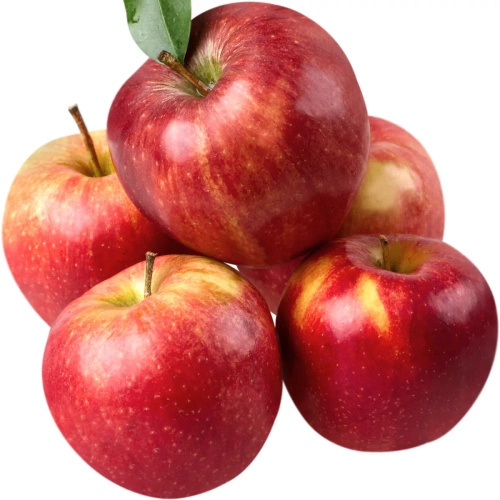 Ekologiczne jabłka na sok polskie (karton ok. 5 kg) (EKO)