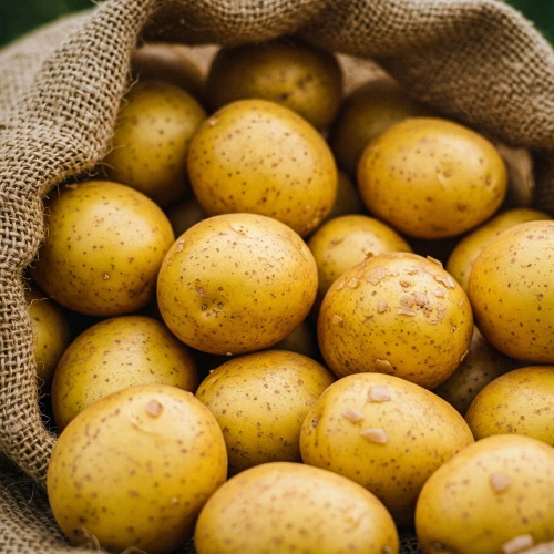 Ziemniaki żółte ekologiczne polskie (worek ok. 10 kg) (EKO)