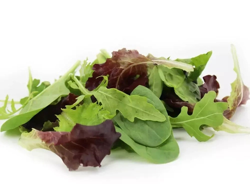 Ekologiczny mix sałat (tacka 100 g) (EKO)