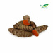 Kurkuma ekologiczna (karton ok. 2 kg) (EKO)