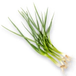 Ekologiczna cebula dymka ze szczypiorkiem polska (0,04 kg) (EKO)