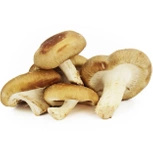 Ekologiczne grzyby shiitake świeże (ok. 0,2 kg) (EKO)