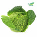 Ekologiczna kapusta włoska (0,4 kg) (EKO)