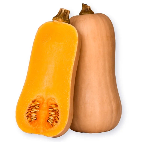 Ekologiczna dynia piżmowa butternut polska (1,2 kg) (EKO)