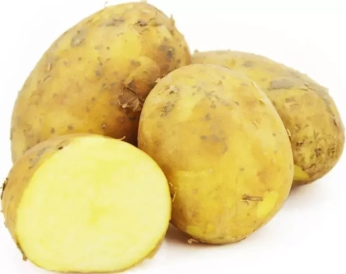 Ekologiczne ziemniaki żółte polskie (worek ok. 10 kg) (EKO)