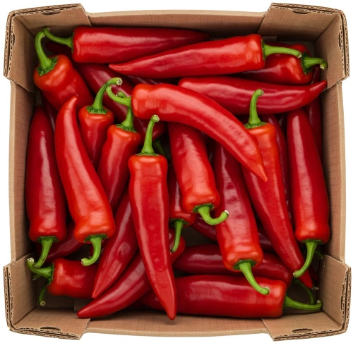 Papryka długa ekologiczna (karton ok. 2 kg) (EKO)