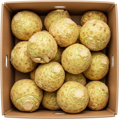 Ekologiczny seler korzeń (karton ok. 5 kg) (EKO)