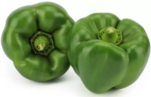 Ekologiczna papryka zielona (karton ok. 5 kg) (EKO)