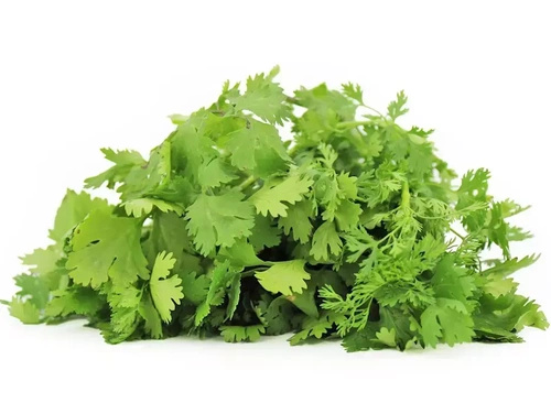 Ekologiczna kolendra polska (0,05 kg) (EKO)