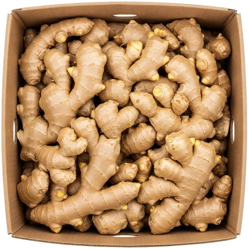 Imbir ekologiczny (karton ok. 3 kg) (EKO)