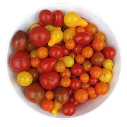 Ekologiczne pomidory koktajlowe mix (tacka ok. 250 g) (EKO)