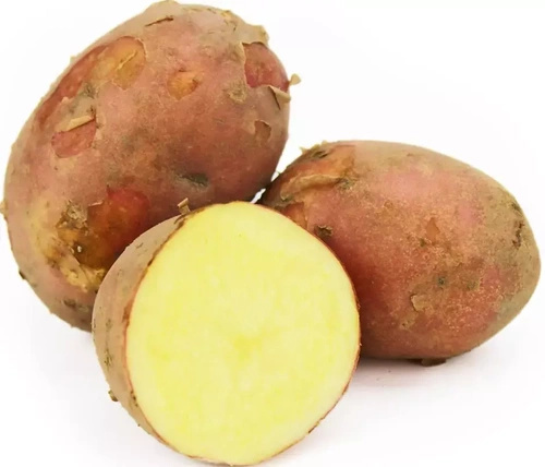 Ekologiczne ziemniaki czerwone polskie (ok. 2 kg) (EKO)