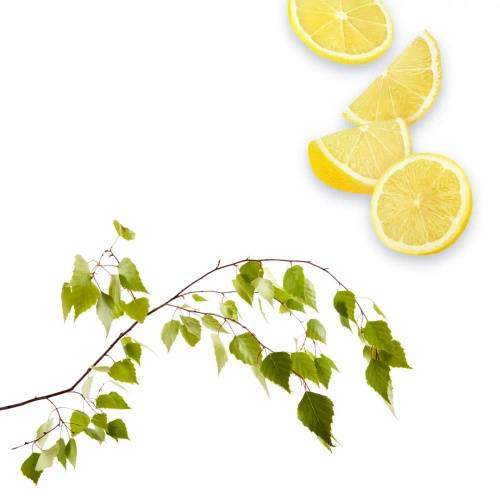 Sok z brzozy z cytryną 750 ml - Naturavena