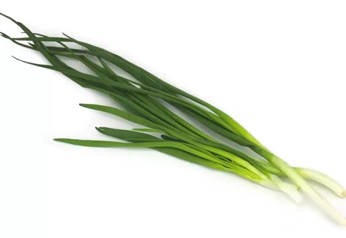 Ekologiczna cebula dymka ze szczypiorkiem polska (pęczek 40 g) (EKO)