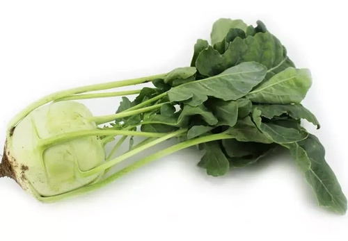 Kalarepa ekologiczna polska (0,12 kg) (EKO)