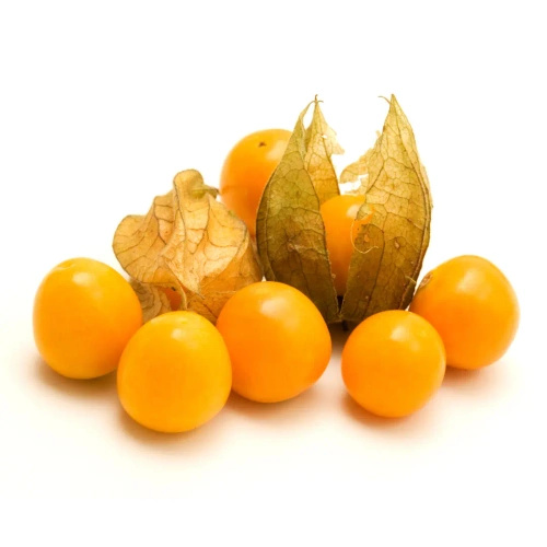 Ekologiczna miechunka świeża (ok. 0,1 kg) (EKO)