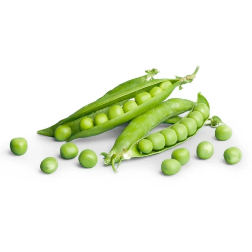 Groszek zielony w zalewie 300 g (200 g) - Alce Nero (EKO)