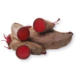 Ekologiczne buraki podłużne polskie (ok. 1 kg) (EKO)