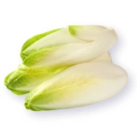Ekologiczna cykoria świeża (ok. 0,5 kg) (EKO)